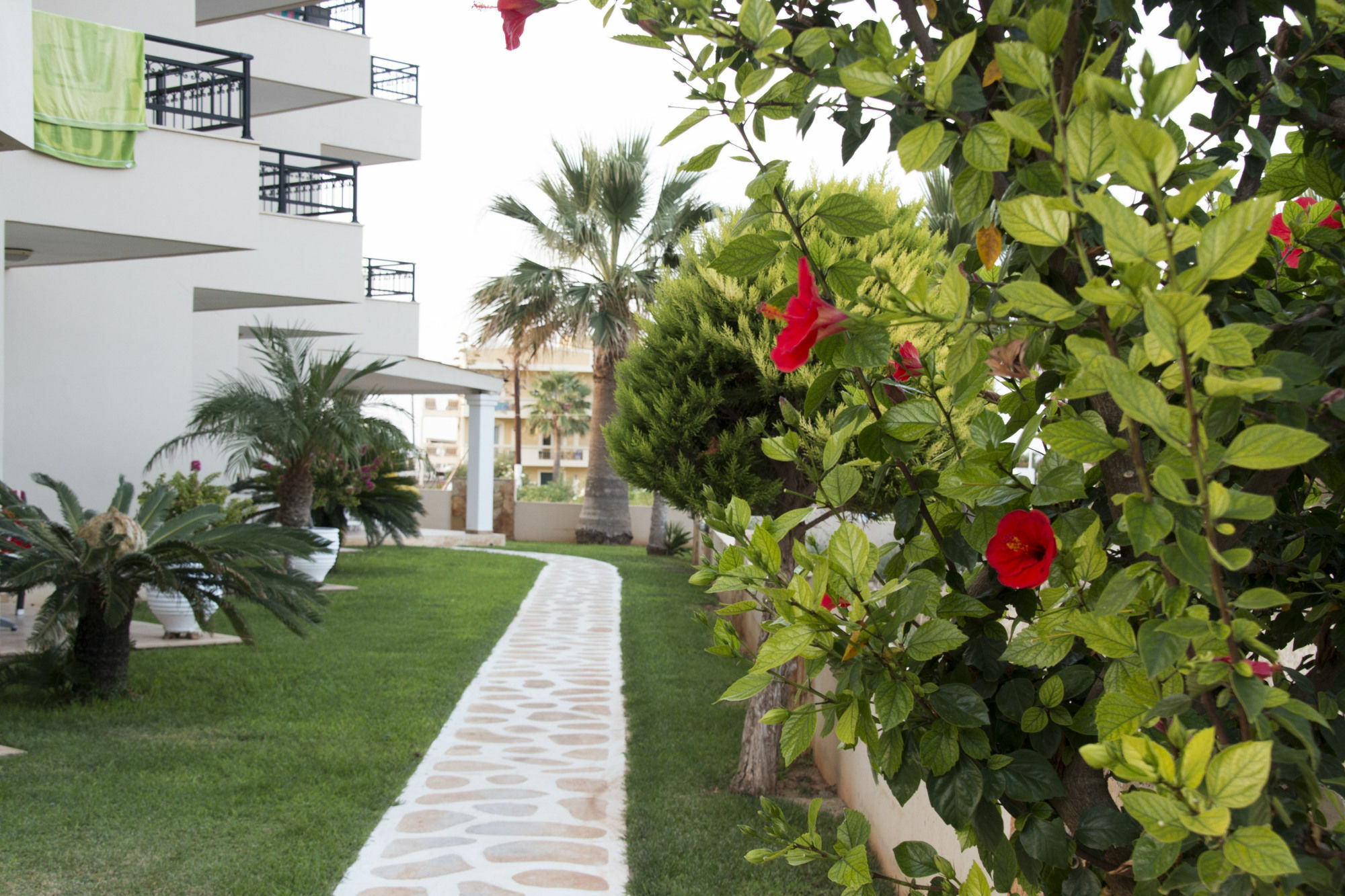 Ammos Boutique Apartments & Suites Μάλια Εξωτερικό φωτογραφία